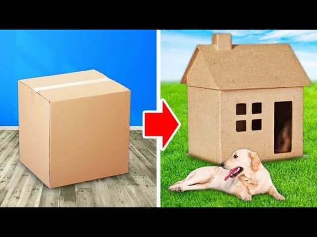 Jak zrobić podest dla psa - proste kroki, aby ułatwić mu życie