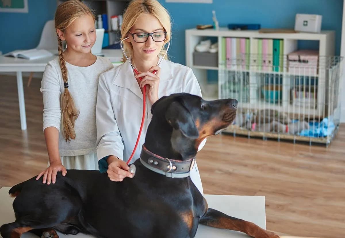 Co ile powinno się odrobaczać psa, aby uniknąć problemów zdrowotnych?
