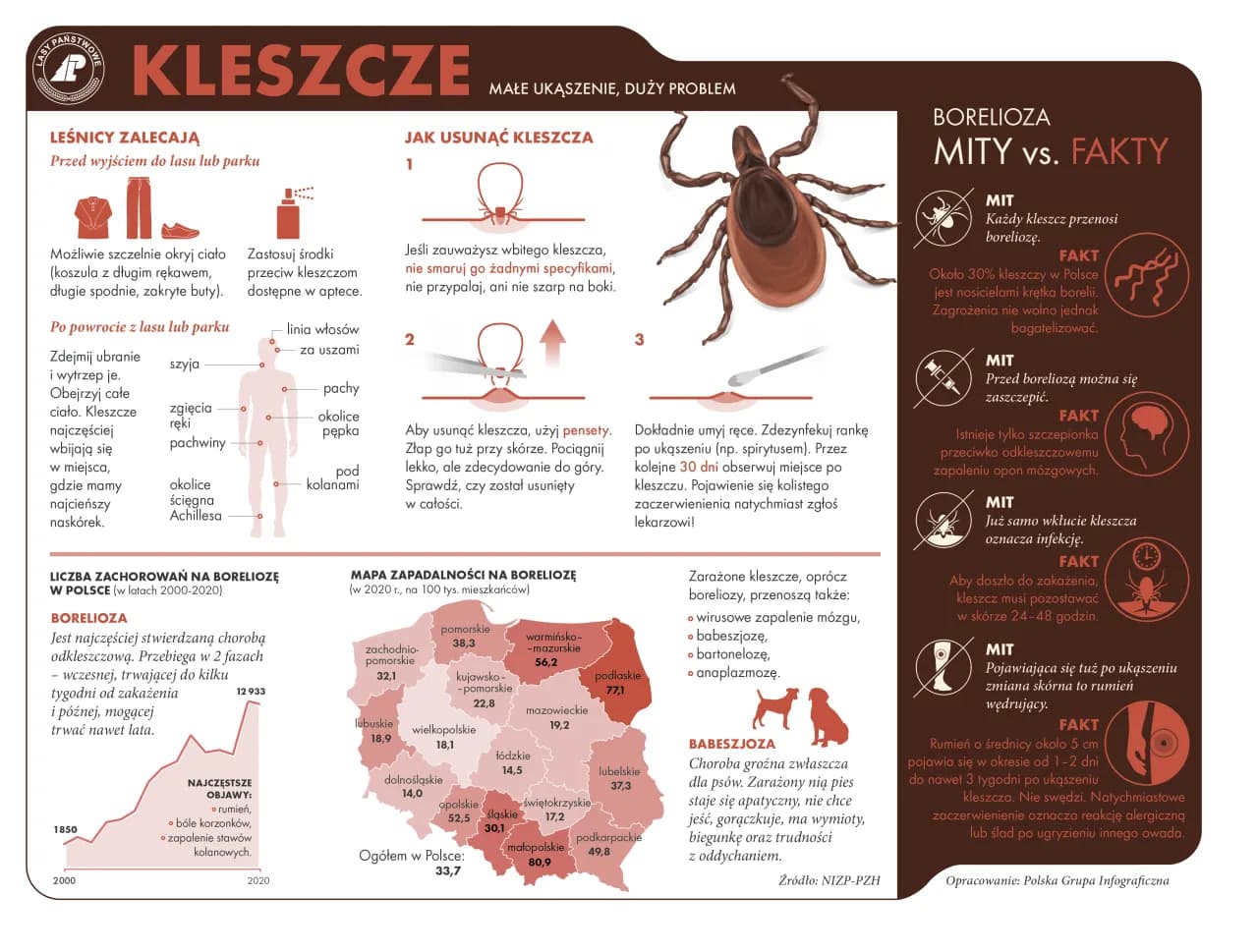 Czy są białe kleszcze? Odkryj ich tajemnice i zagrożenia