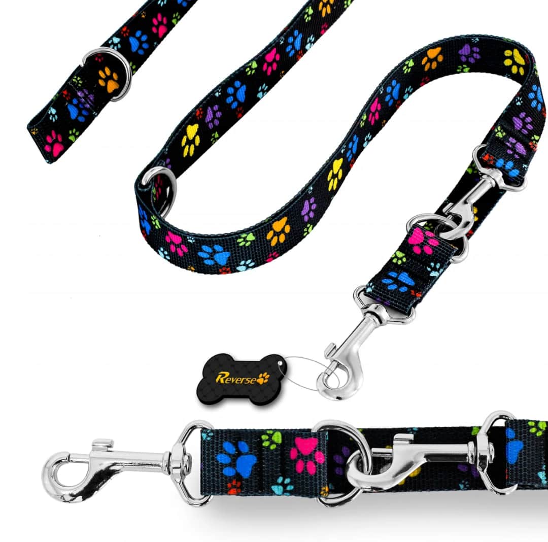 Ile kosztuje smycz dla psa? Ceny, które zaskoczą każdego właściciela